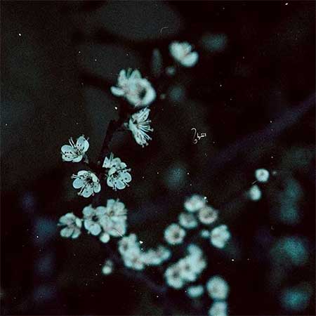 دانلود آهنگ داغ خواهر علی رزاقی